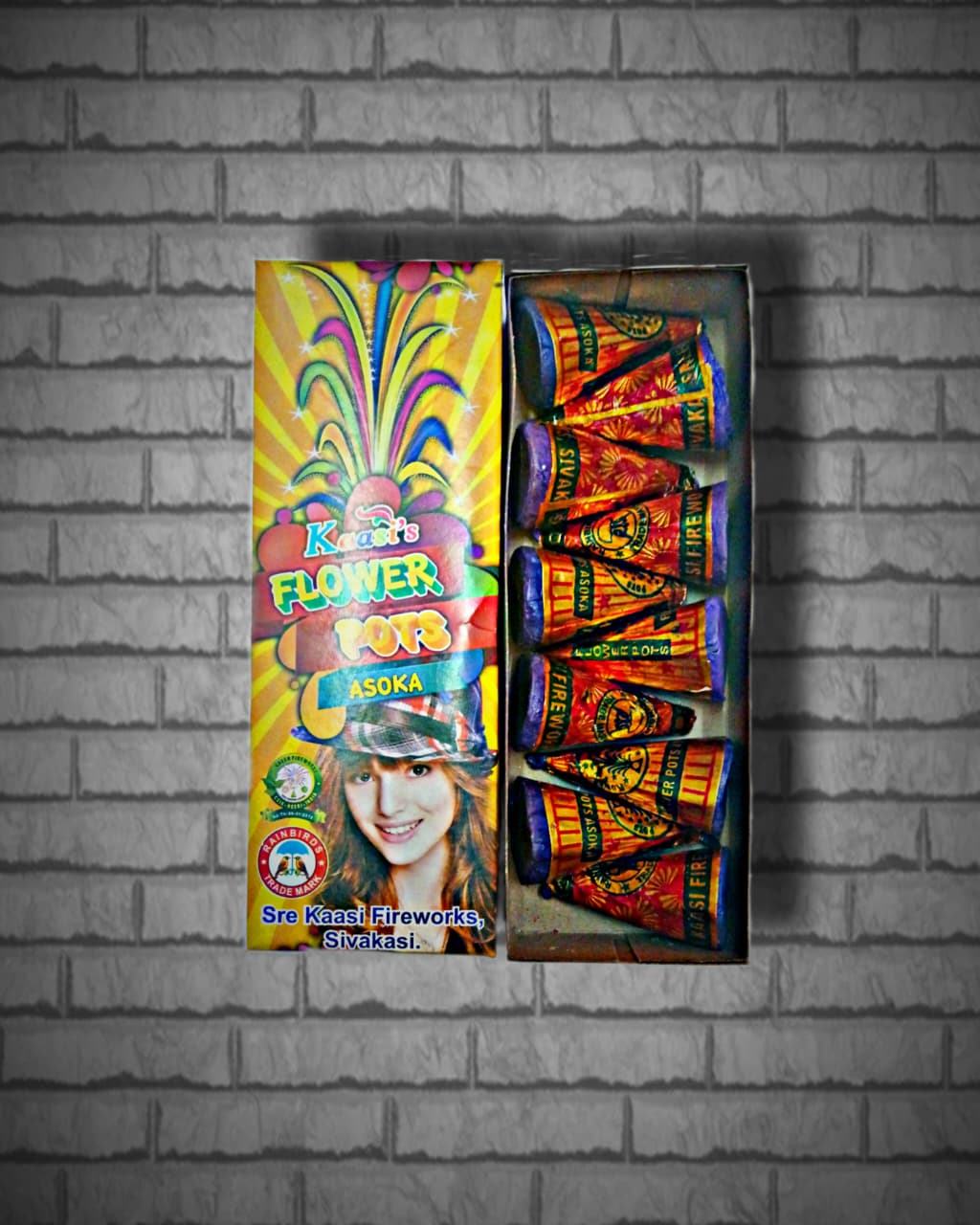 Flower Pots Asoka